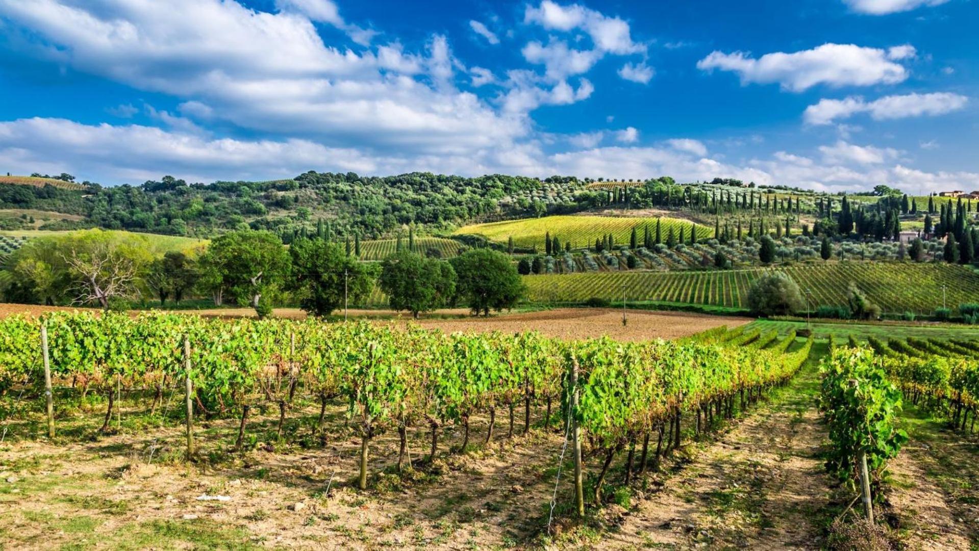 Terre Gialle - La Val D'Orcia Nascosta Castel del Piano  Ngoại thất bức ảnh