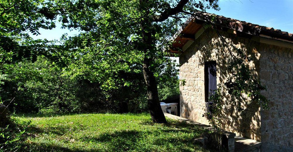 Terre Gialle - La Val D'Orcia Nascosta Castel del Piano  Ngoại thất bức ảnh