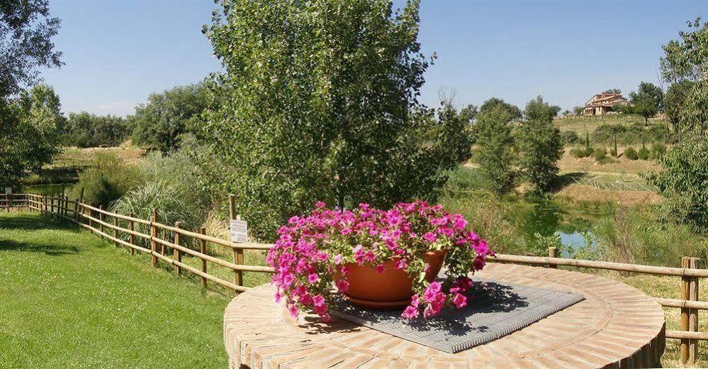 Terre Gialle - La Val D'Orcia Nascosta Castel del Piano  Ngoại thất bức ảnh