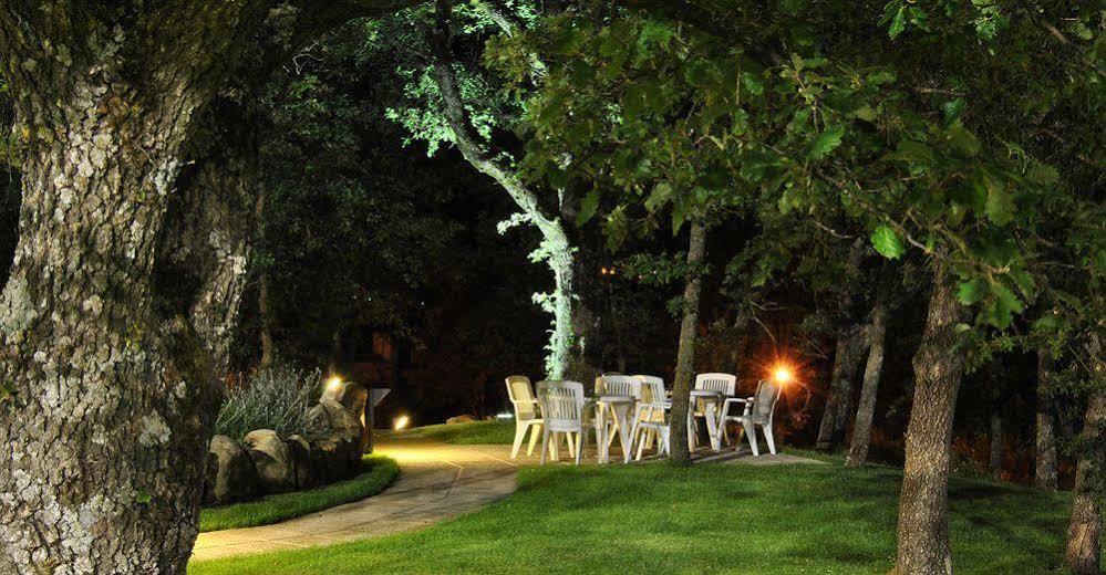 Terre Gialle - La Val D'Orcia Nascosta Castel del Piano  Ngoại thất bức ảnh
